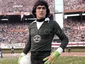 阿根廷伊瓜因实力,阿根廷名将迪马利亚