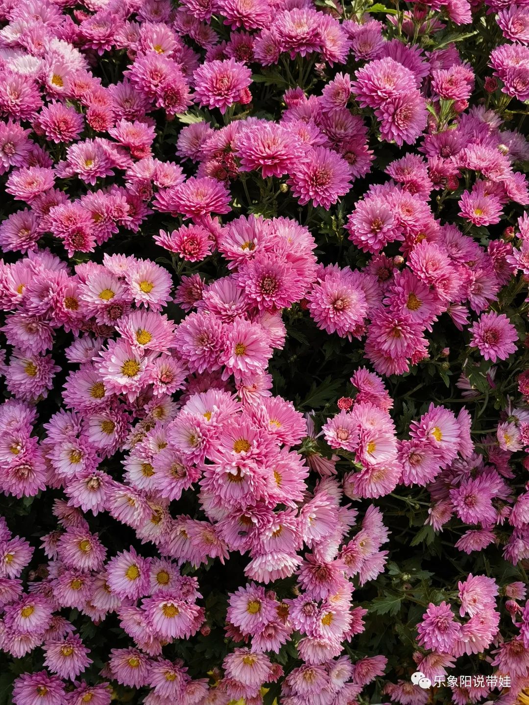 时间都去哪儿了小品完整版,时间都去哪儿了感悟