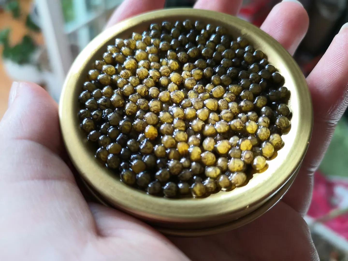 初尝鱼子酱,天全鱼子酱啥味道