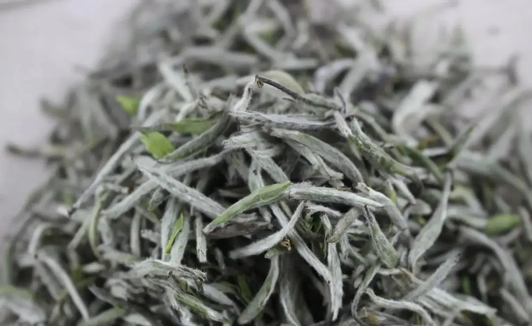 周劼喝二十万一斤的茶,南昌周劼白毫银针