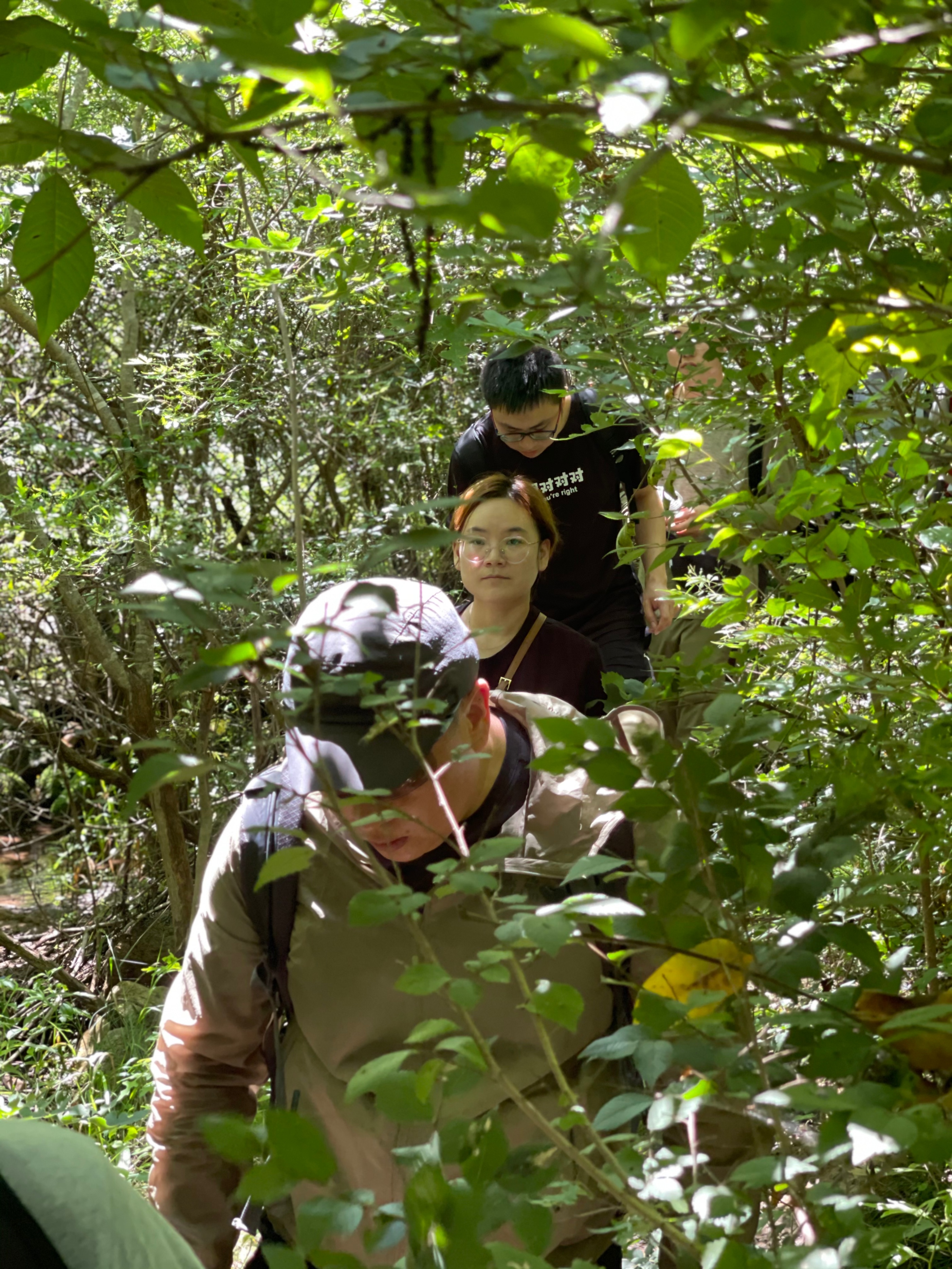 冬天天津周边徒步路线推荐,天津徒步旅游线路