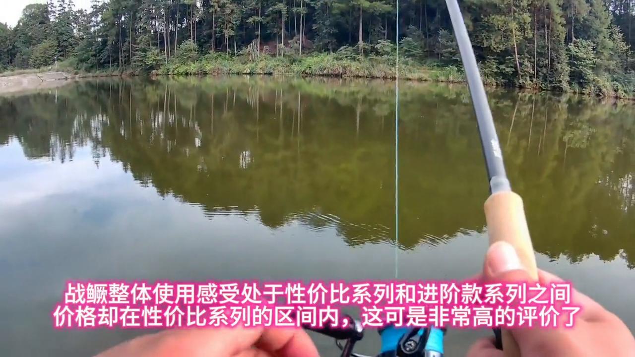 性价比高的长毛猫,性价比小猫猫粮