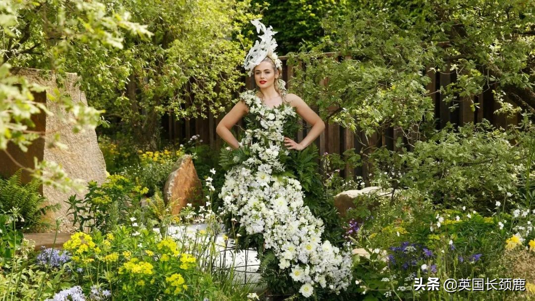 2020年切尔西花展抢先看,2023年切尔西花展