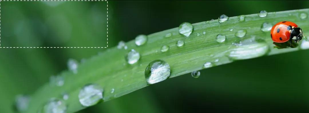 “对不起，这一页PPT我实在不会配图了？”