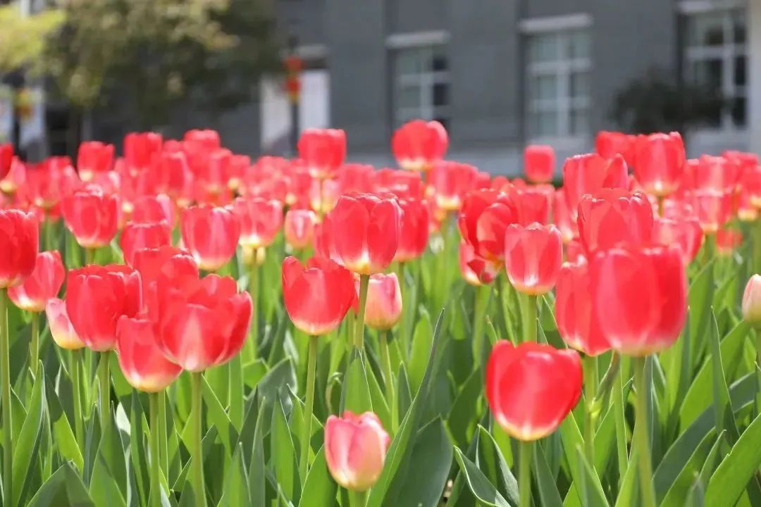 宁海中学清华美术班,南京宁海中学美术评分