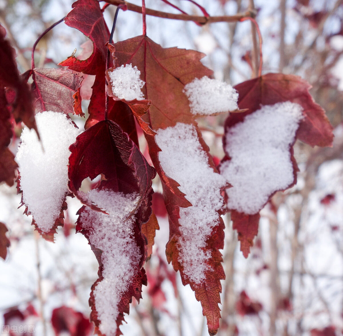 健康一切安好就是最大的福气,其实人这辈子健康才是王道