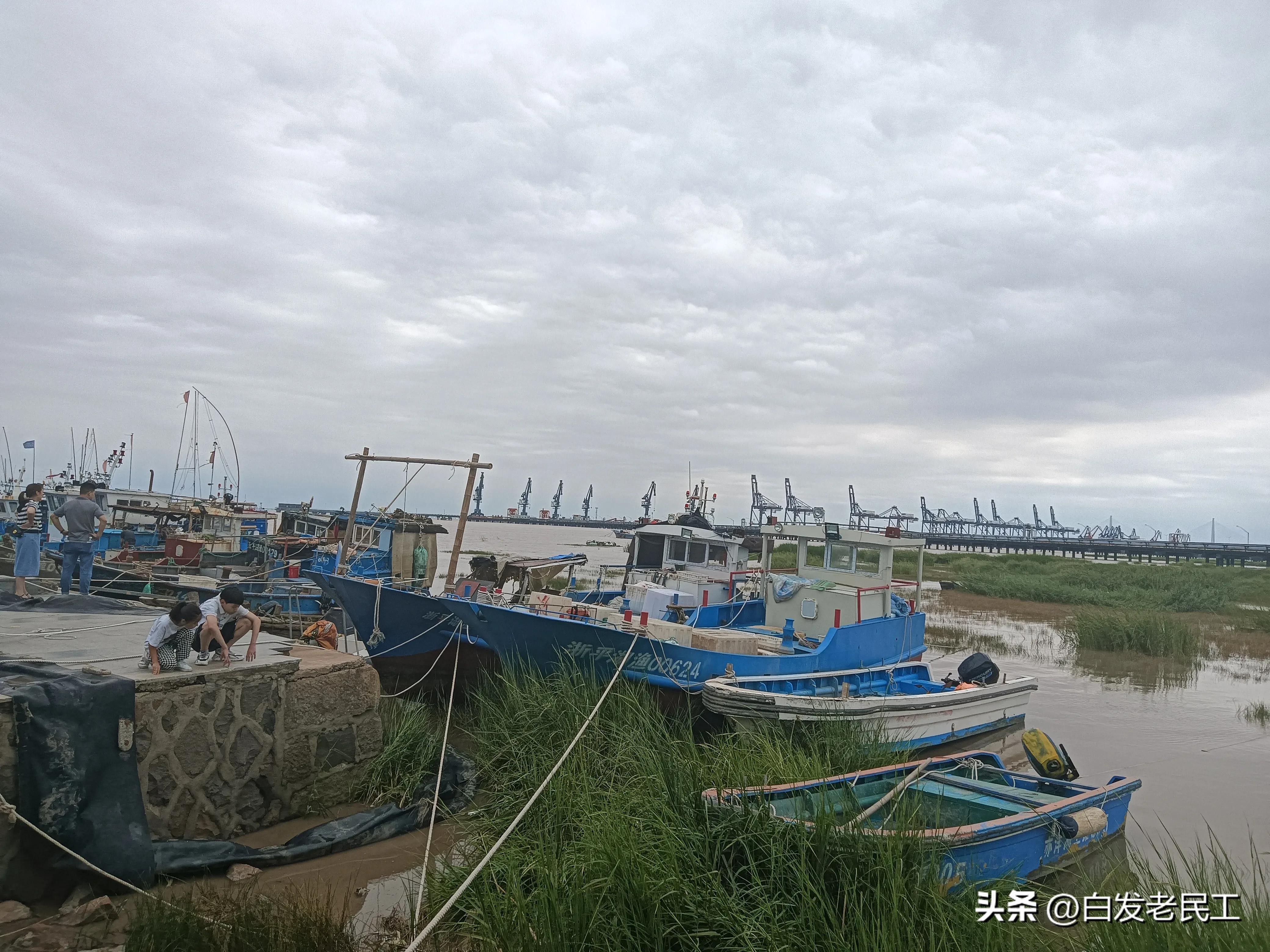 乍浦海边游玩攻略,乍浦镇海边景区