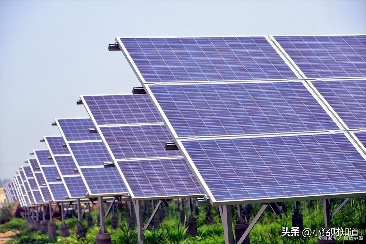 a股细分行业龙头股大全值得收藏,机构近期扎堆调研的a股