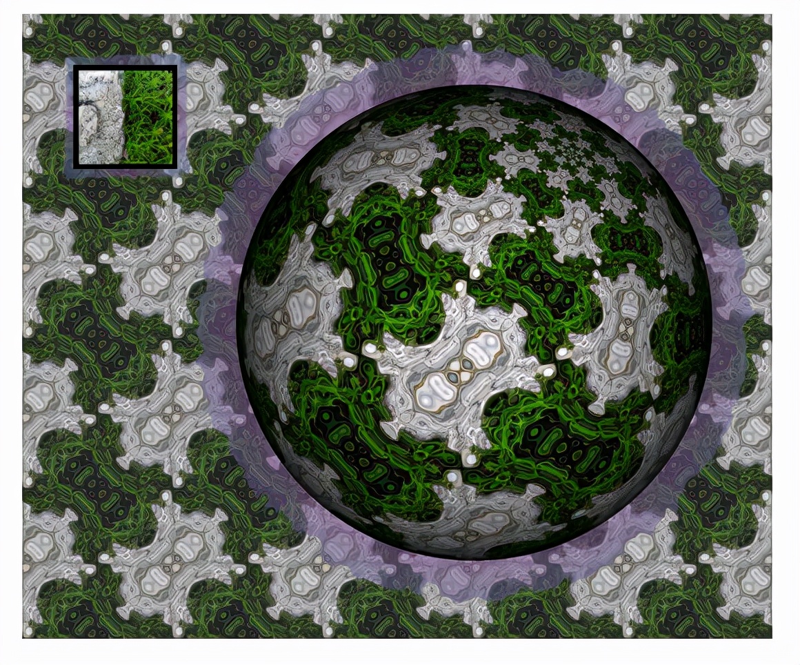 数学家的演讲,数学家谈函数与方程