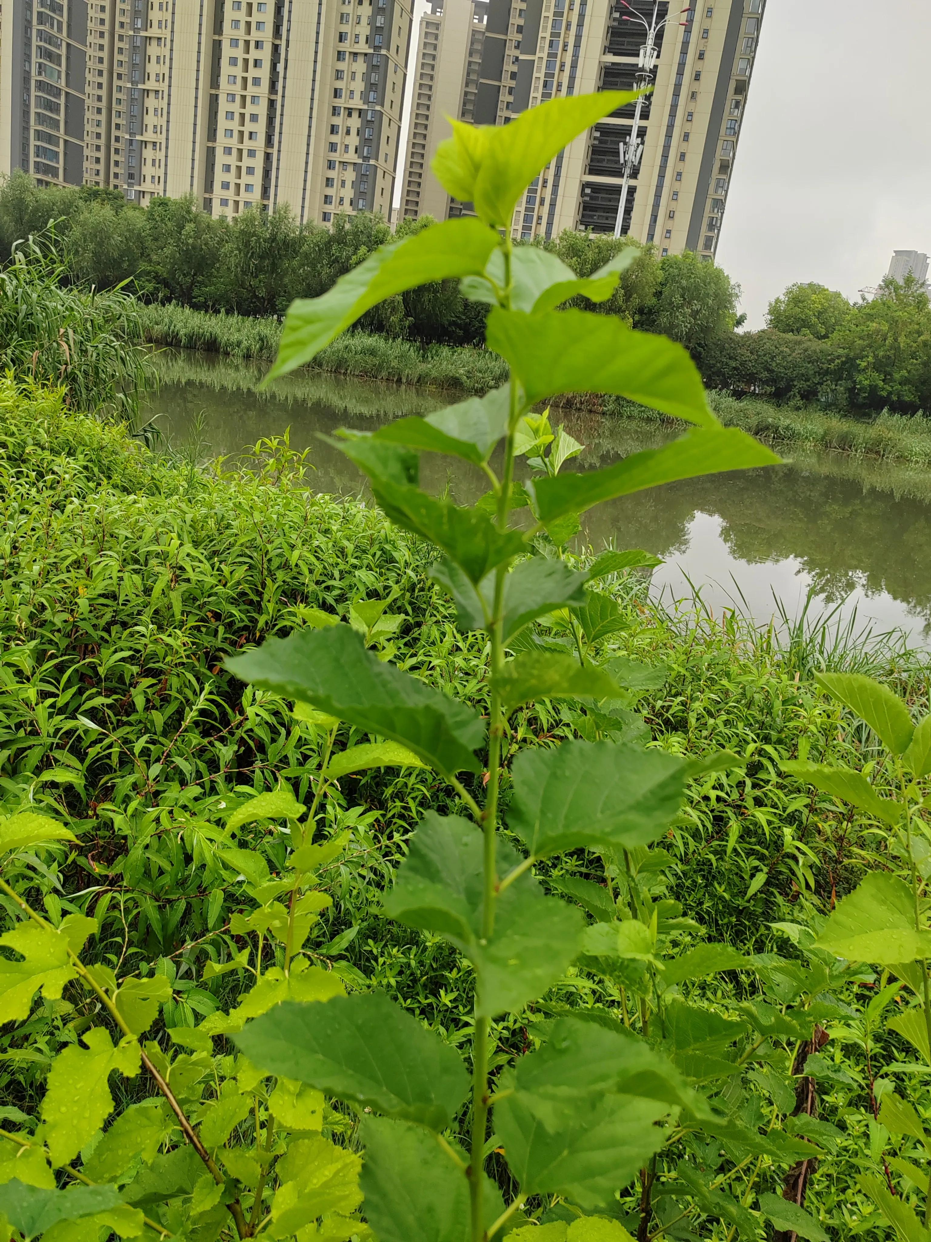 致富三法,致富三招