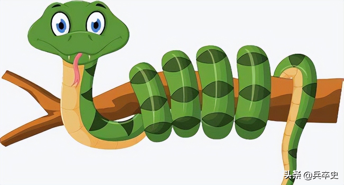 六七十年代海南巨蟒事件,1996年蟒蛇报恩甘愿当保姆