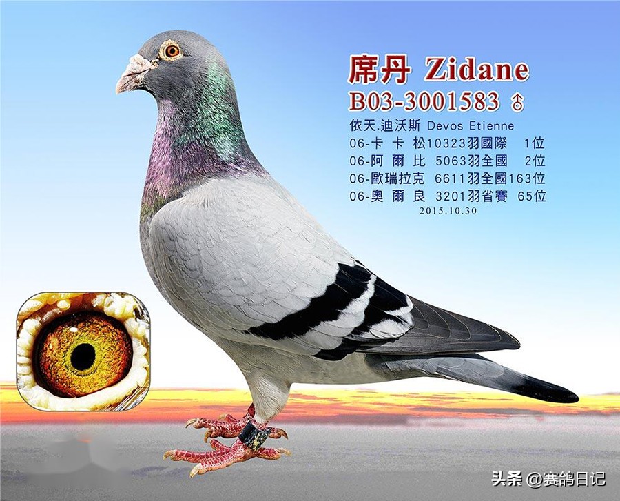 依天迪沃斯席丹号，伯里斯鸽系的起点