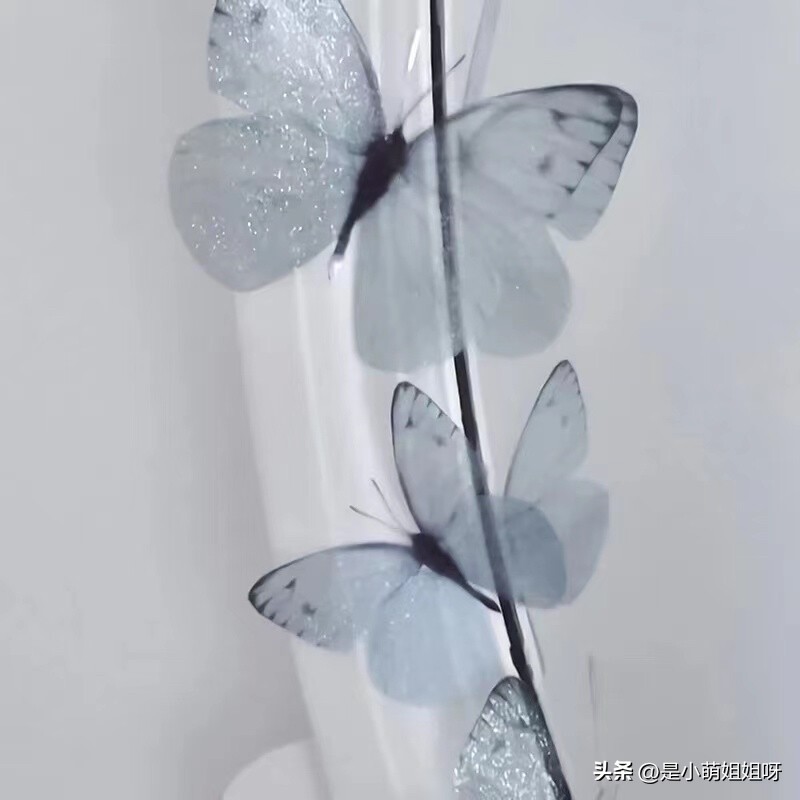 6种自媒体赚钱方法小白也可以做,做自媒体怎么赚钱收益最高