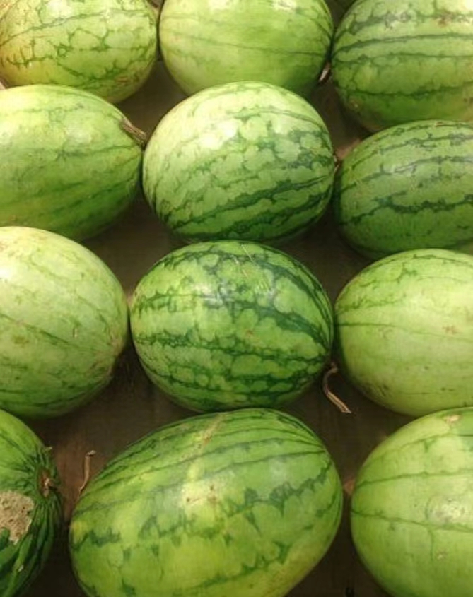 各种西瓜品种怎么选择好吃,西瓜分类和品种有哪些区别