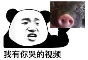 熊猫贴在墙上表情,震惊熊猫表情素材