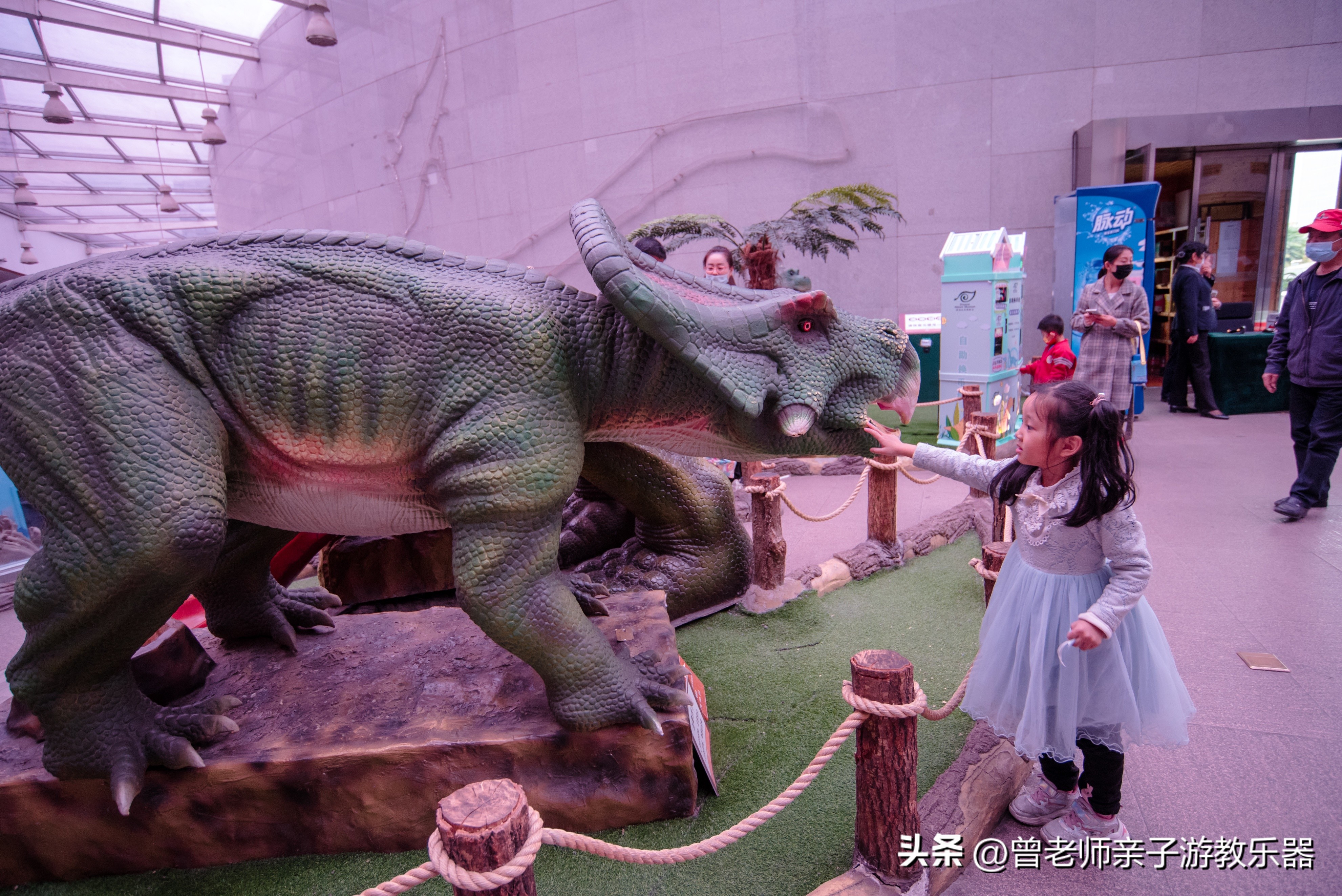 西安2023旅游攻略,2023年西安必去景点