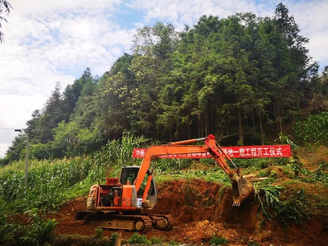 猫啡实业有限公司:看好河口发展前景,坚守河口市场
