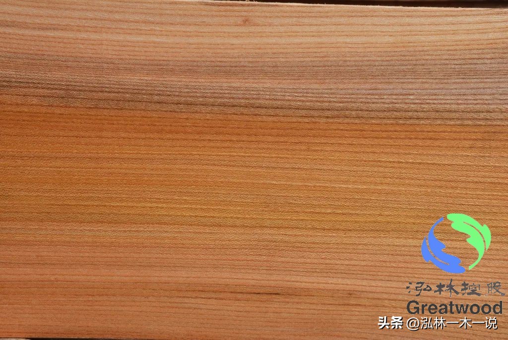 欧洲贵妇出轨被发现,欧洲白富美