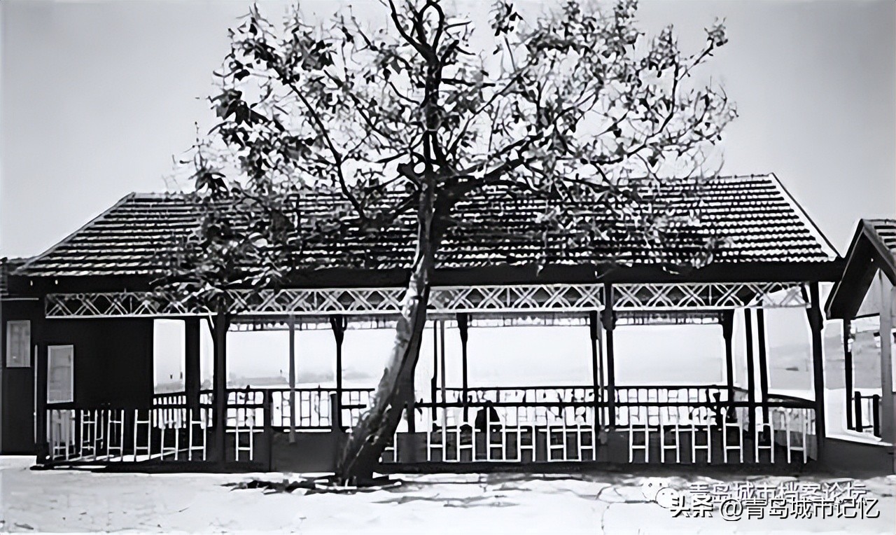 青岛的几大海水浴场分别在哪,青岛八大海水浴场分别是