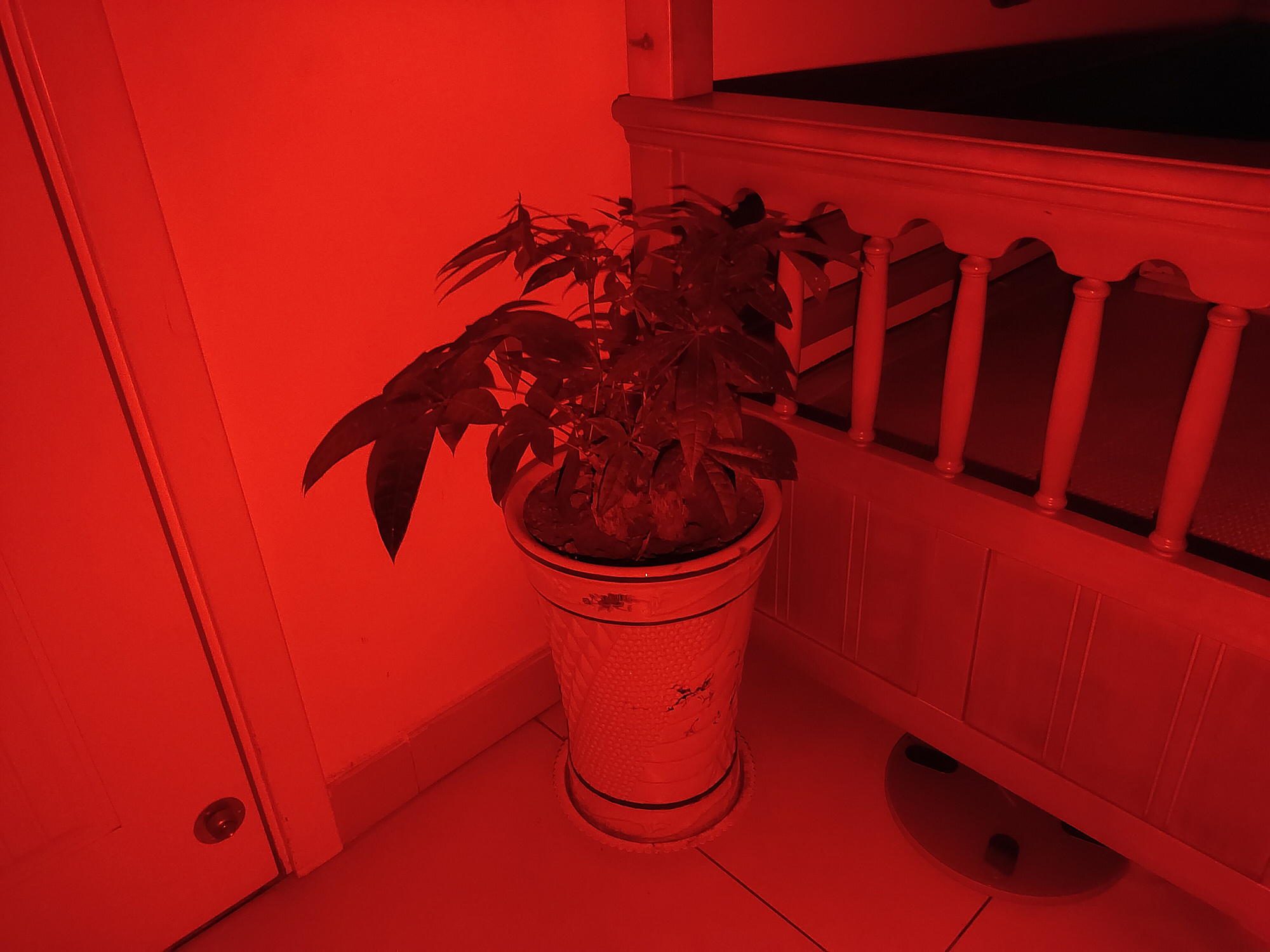 头转之处,皆是光明!CyanskyHS5R多功能可充电式头灯体验