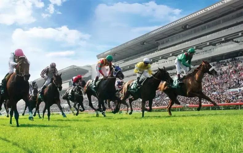 香港购物最全的攻略,香港迪士尼攻略