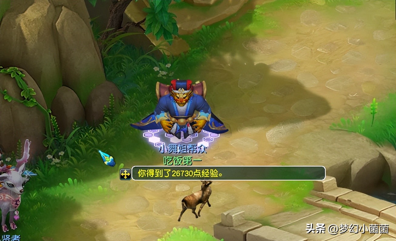 新手梦幻西游游戏攻略,新手梦幻西游攻略大全