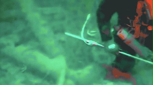 年薪10万每天加班你愿意干吗,月薪20万一天赚多少