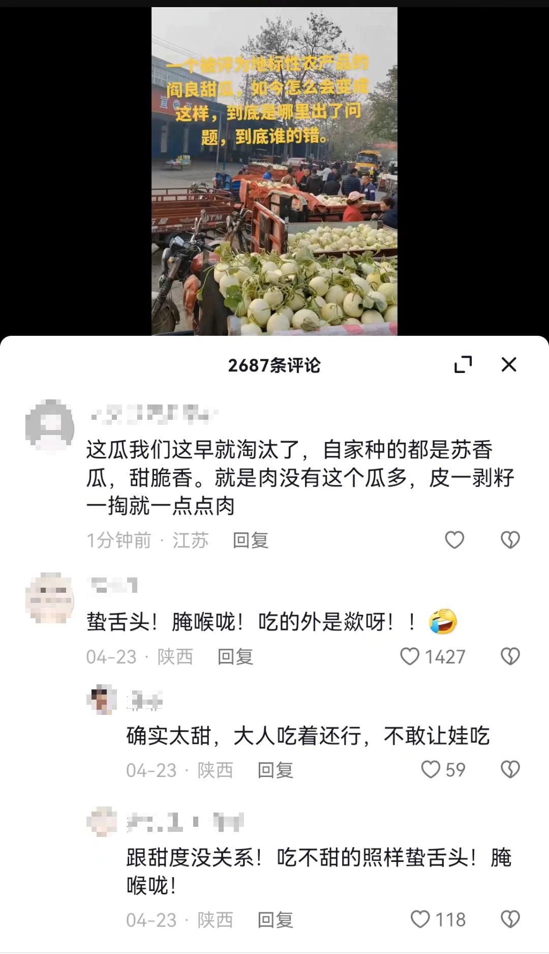 阎良甜瓜大的好还是小的好,今年阎良甜瓜为什么这么便宜