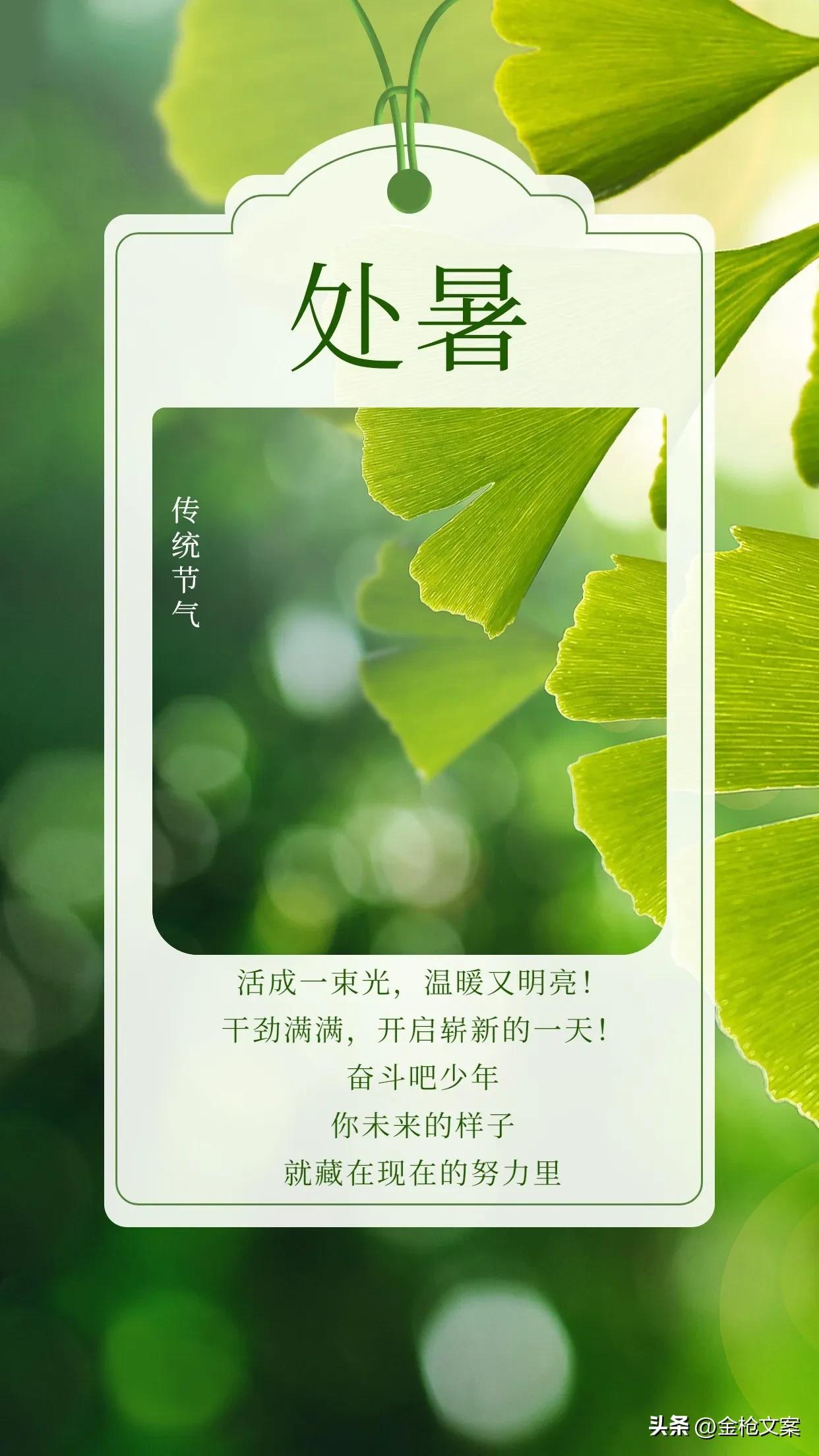 二十四节气处暑朋友圈,二十四节气处暑日记