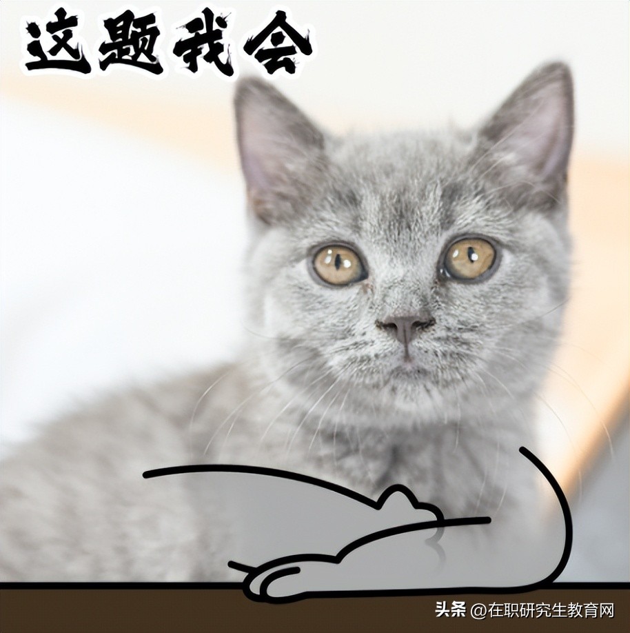 在职研究生如何选择报考专业,体制内考在职研究生专业推荐