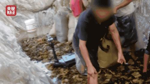 315大曝光图解,315令人发指的真实事件有哪些