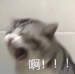 毕业论文应该怎么写有什么步骤吗,毕业论文层次怎么写