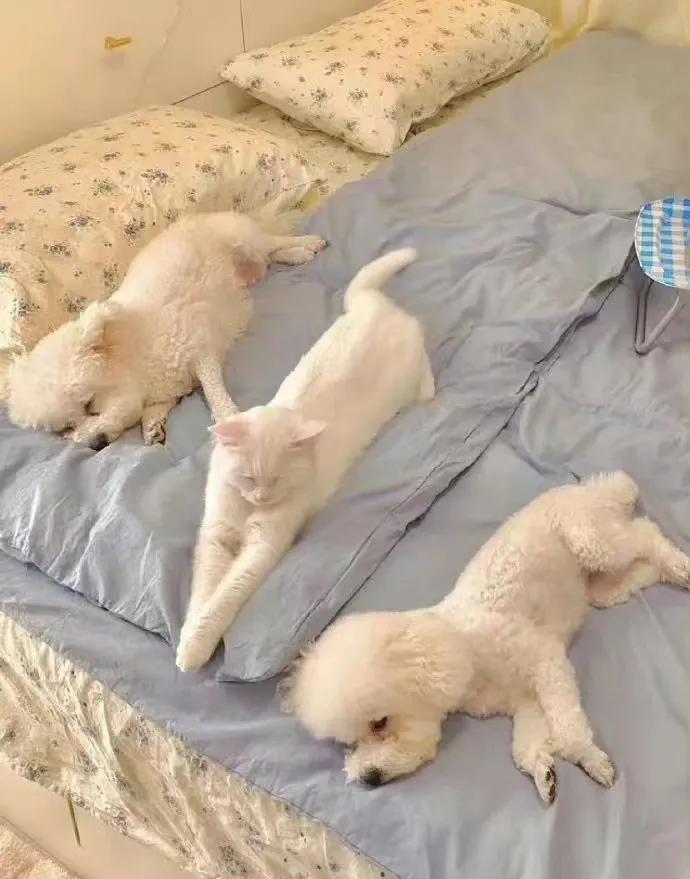 学生迟迟不进系统修改信息，耽误我打印，原来是因为没有网络