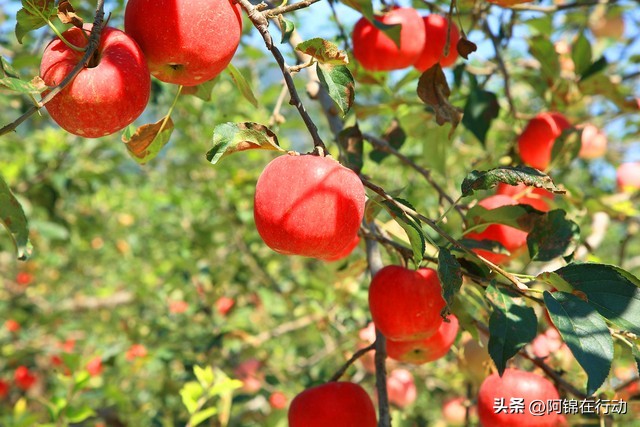 怎样从零开始运营好社群,社群运营电商运营产品运营