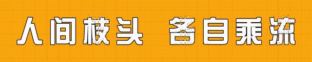 格莱舍尔在摄影之路上，对摄影业产生了怎样的影响？