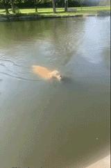 开心一刻一招制敌,开心一刻幽默语句