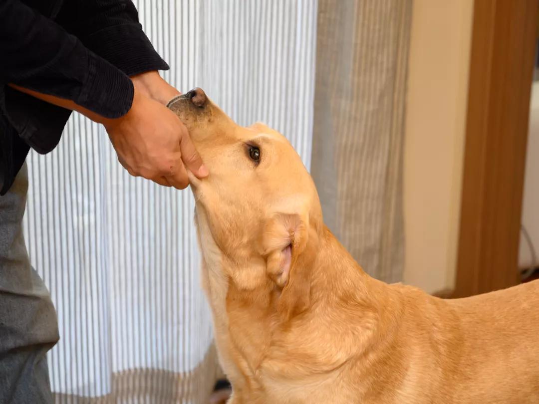 花3万元改造房子,情侣120平出租屋改造