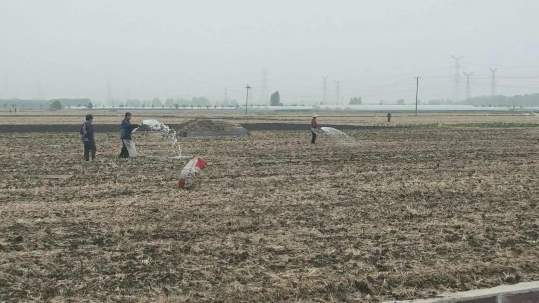 【新闻直通车】大众网点赞罗庄！市域社会治理经验汇｜“爱·在乡间--爱路护路百镇千村行”活动启动仪式举行