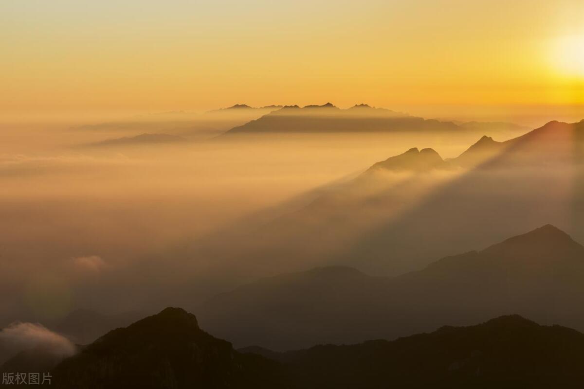 2023年属鸡遇到正缘的属相,生肖鸡下半年遇良人