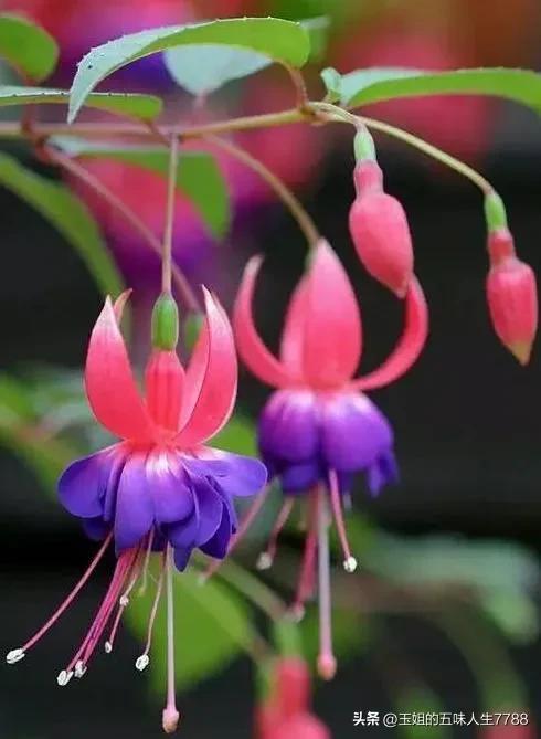 睡觉前躺着玩手机危害有多大,孕妈玩手机对孩子的危害