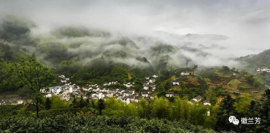 全国十大魅力茶乡有哪里,美丽的家乡茶乡