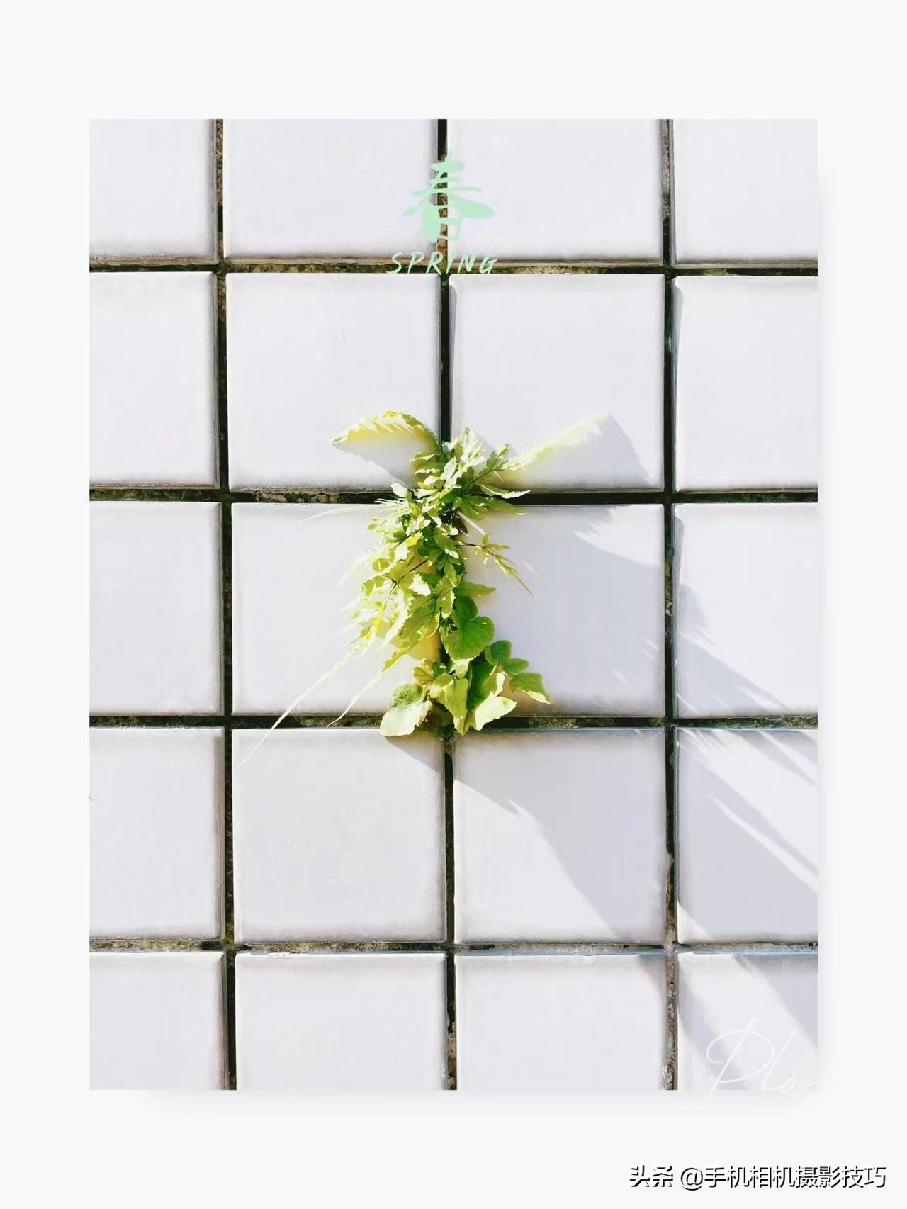 17张普通人拍出来的好照片:会拍照的人,果然善于“设计”