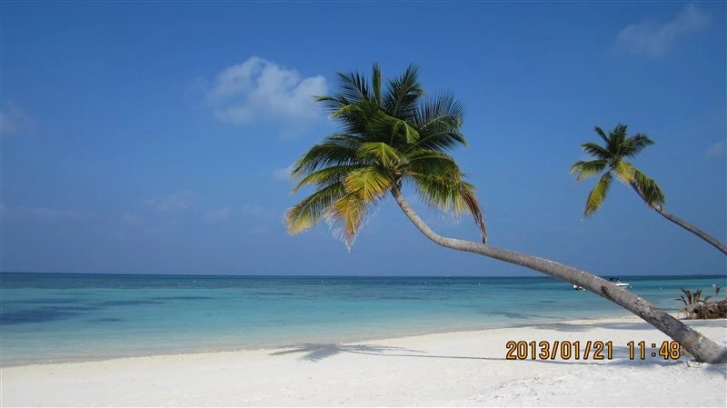 马尔代夫蜜月免费项目,蜜月旅游去马尔代夫哪个岛屿最好
