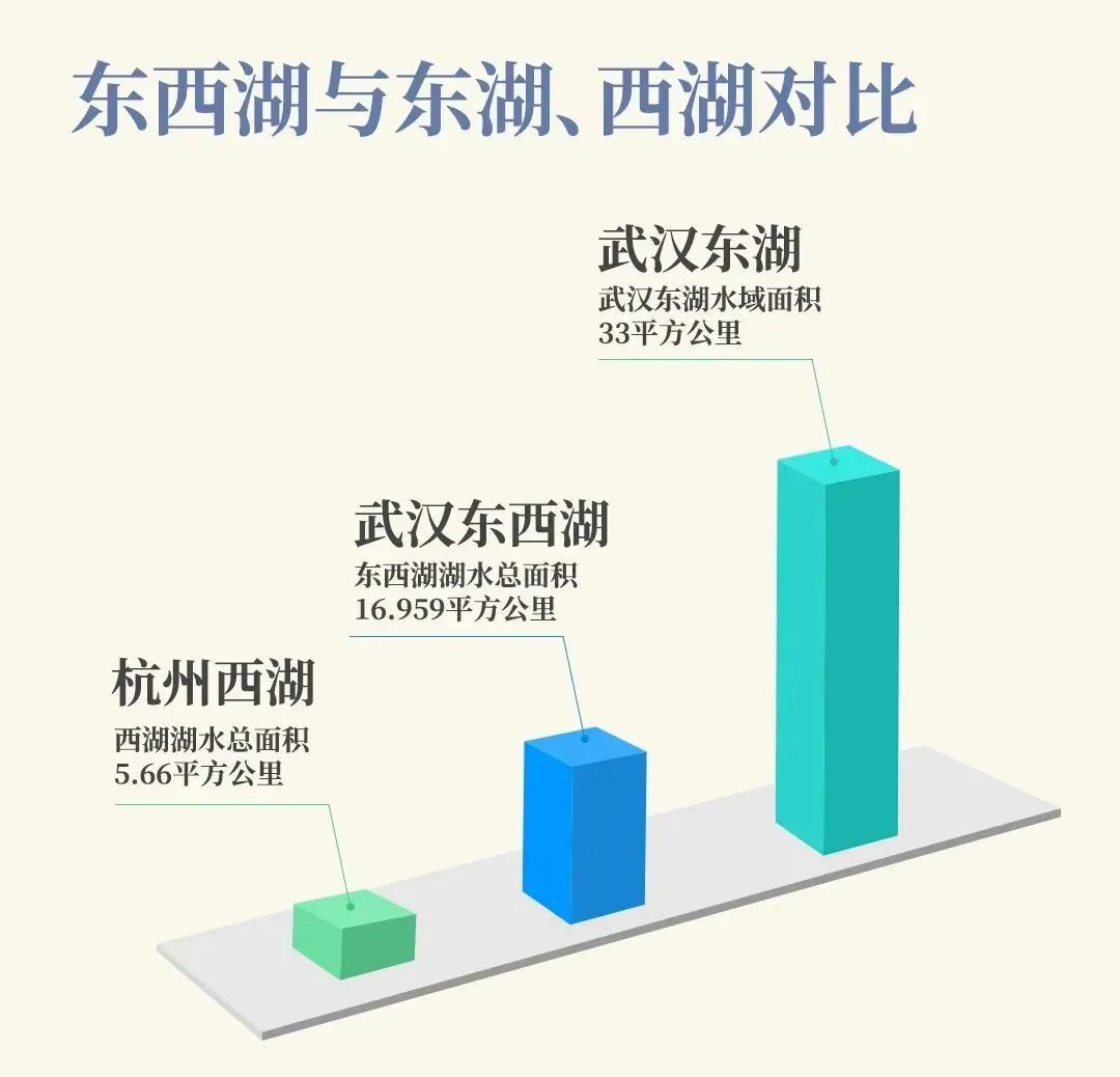 最新东西湖,武汉人眼中的东西湖