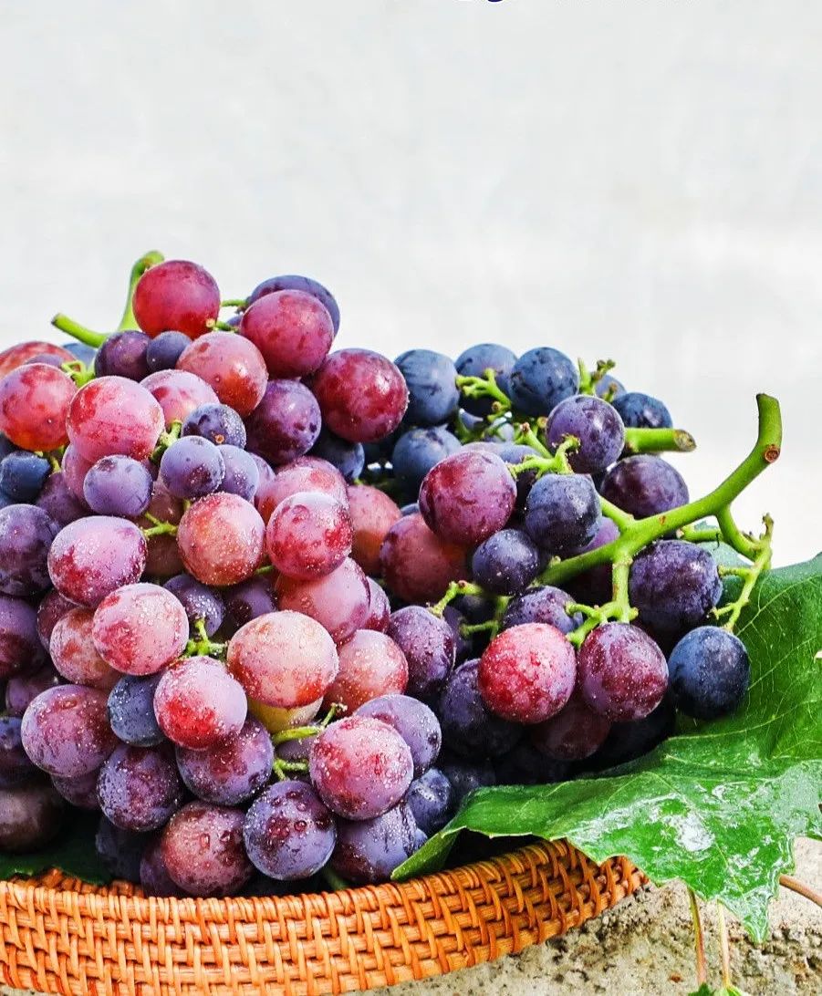 最好吃的爆浆葡萄,香甜爆汁葡萄