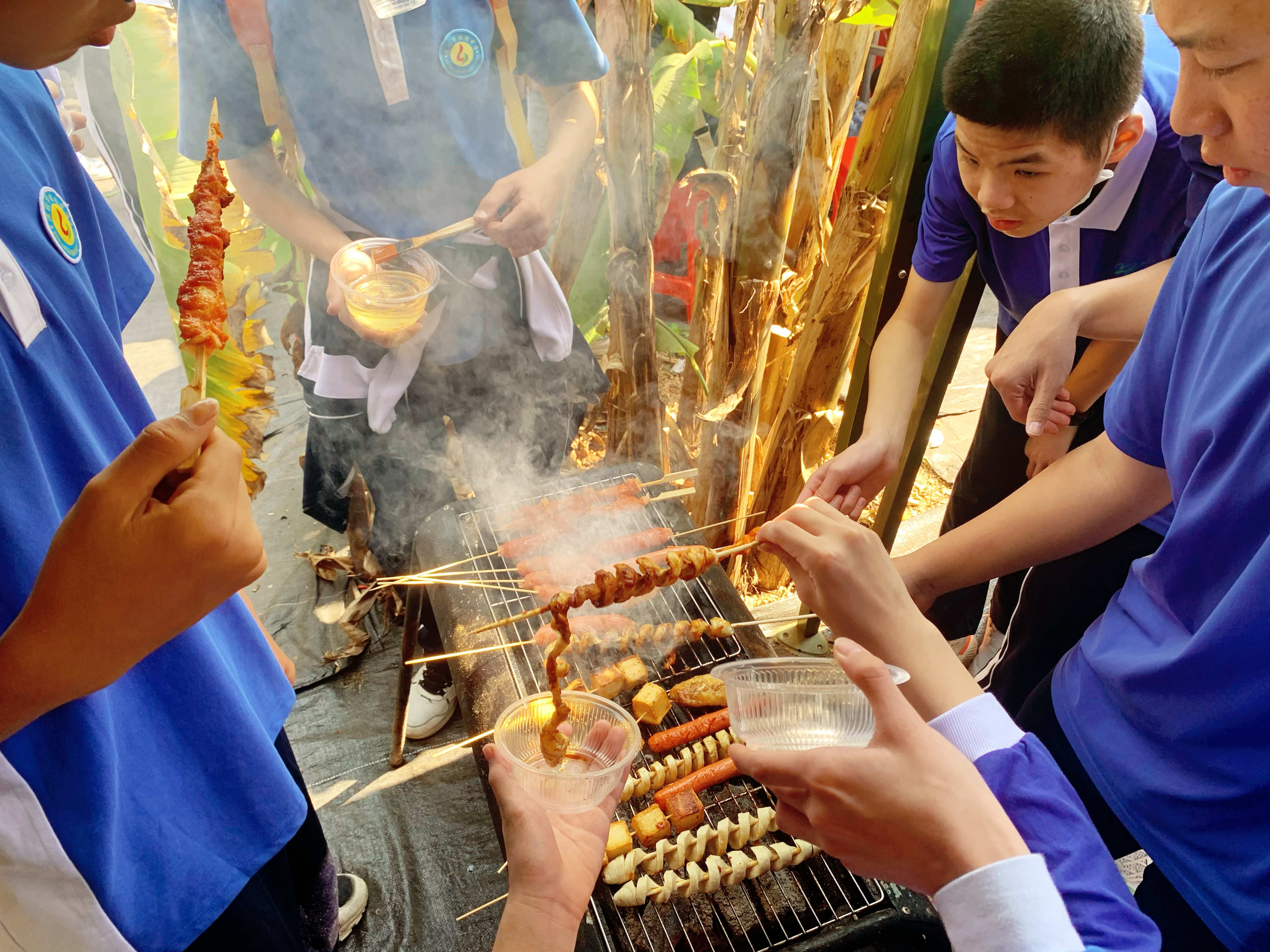 深圳最好的小猪农场,深圳农场适合亲子游的地方