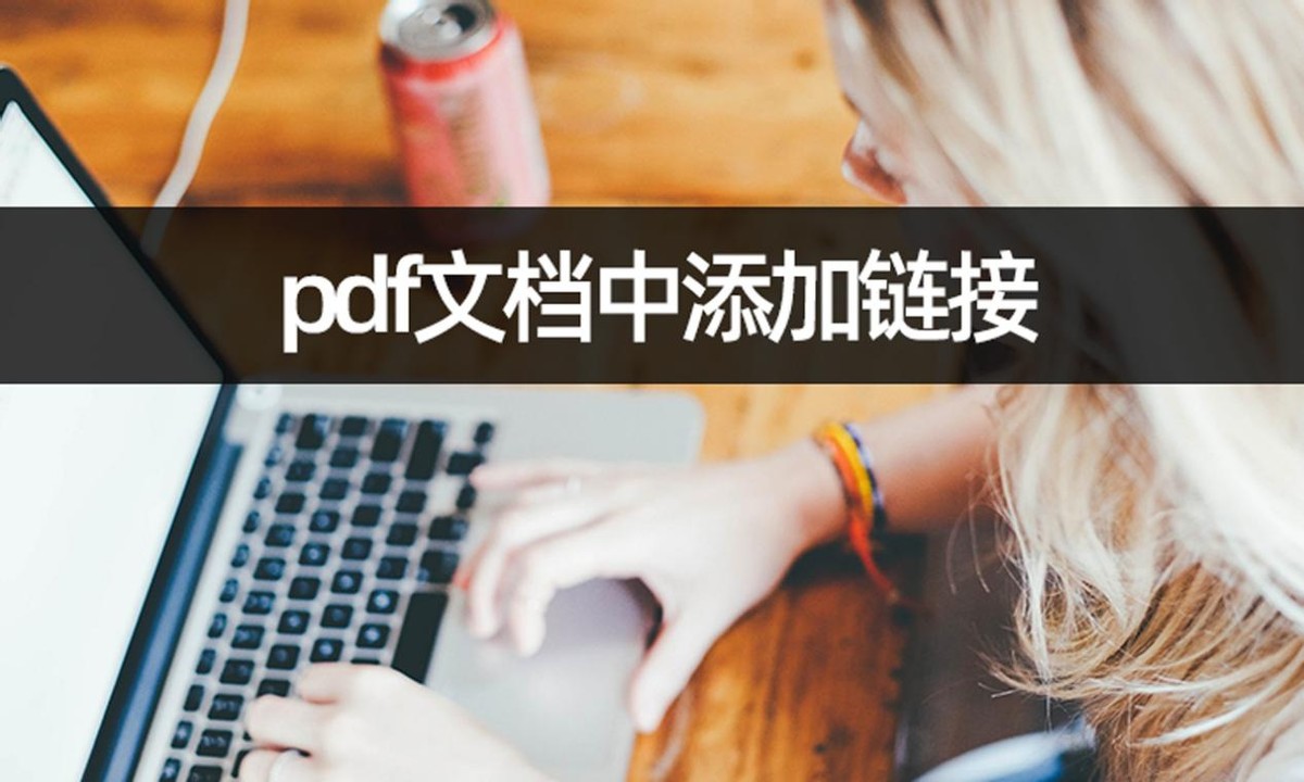 如何在pdf文档里添加超链接,pdf文档怎么添加注释文本链接