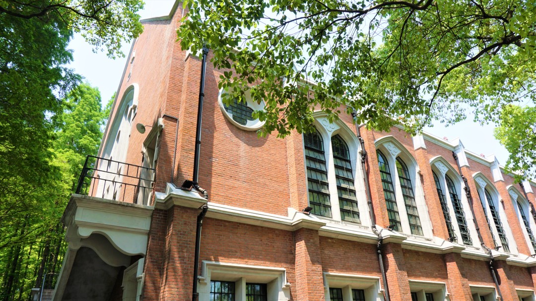 深度解析上海理工大学,上海理工大学小吗