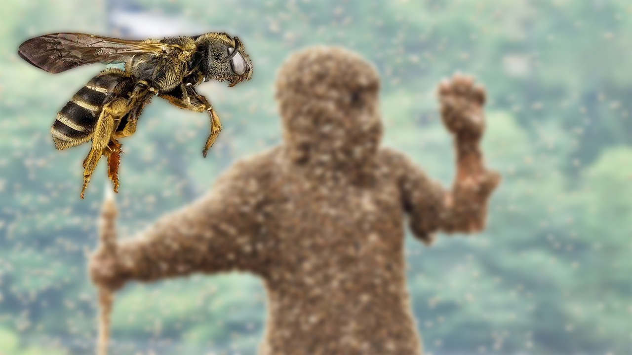 假如你被这么多蜜蜂蛰了怎么办呢,你敢相信被蜜蜂活活蛰死吗