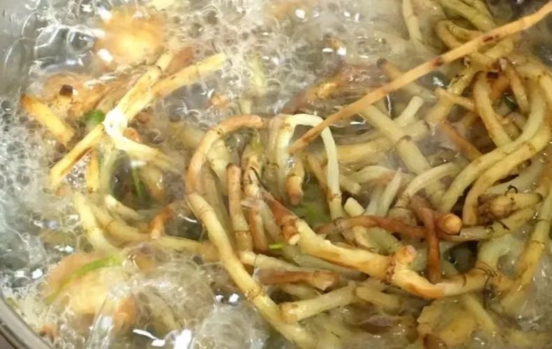 羊了之后咳嗽有痰吃什么效果最好,羊了嗓子痒咳嗽吃什么消炎药